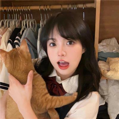 壳中少女：压缩