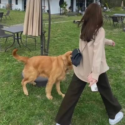 女人的烦恼